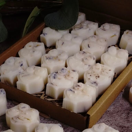 Scented Wax Melts | Gingerbread