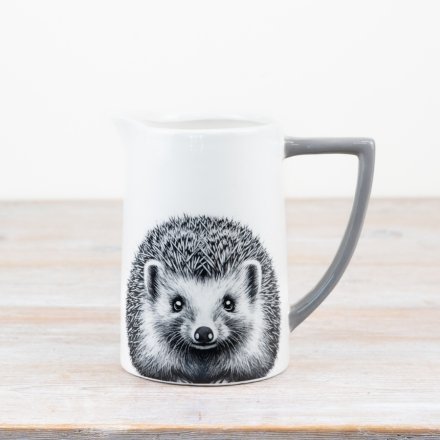 Hedgehog Jug