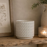 Plant Pot | Dot Design