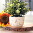 Decorative pot with a plant on a wooden surface