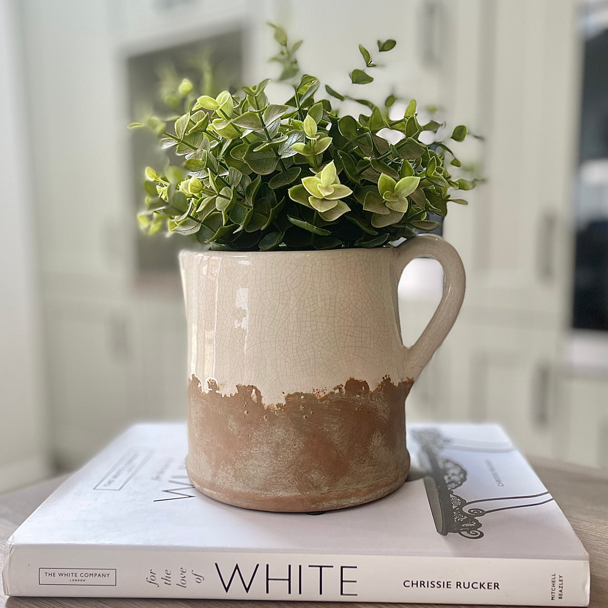 Ido Cream Jug | 19cm