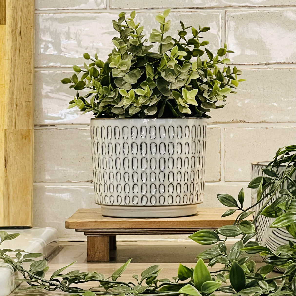 Plant Pot | Dot Design