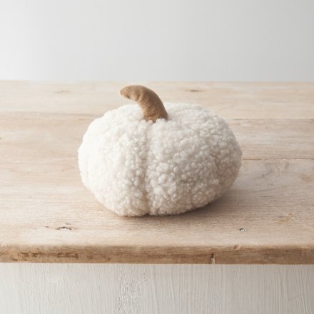 White Sherpa Pumpkin | 15cm