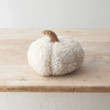 White Sherpa Pumpkin | 15cm
