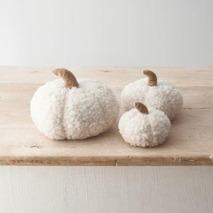 White Sherpa Pumpkin | 11cm