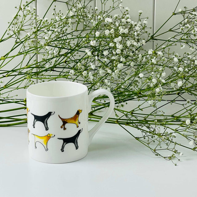 Labrador Cup - Starburst Interiors Limited