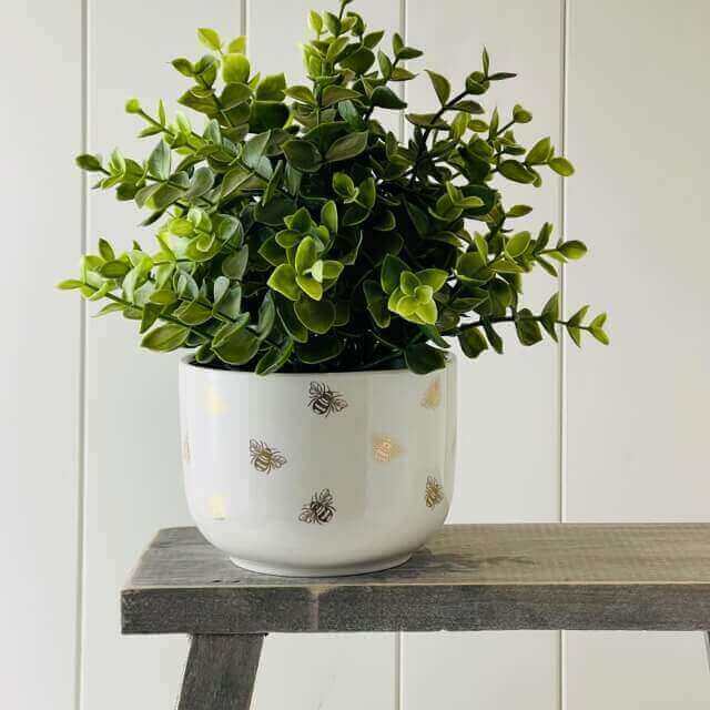 Plant Pot - Queen Bee - Starburst Interiors Limited