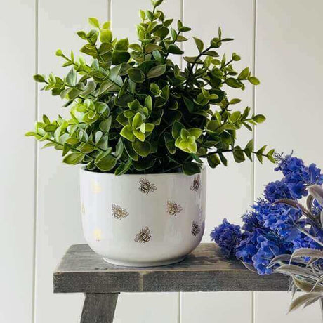 Plant Pot - Queen Bee - Starburst Interiors Limited