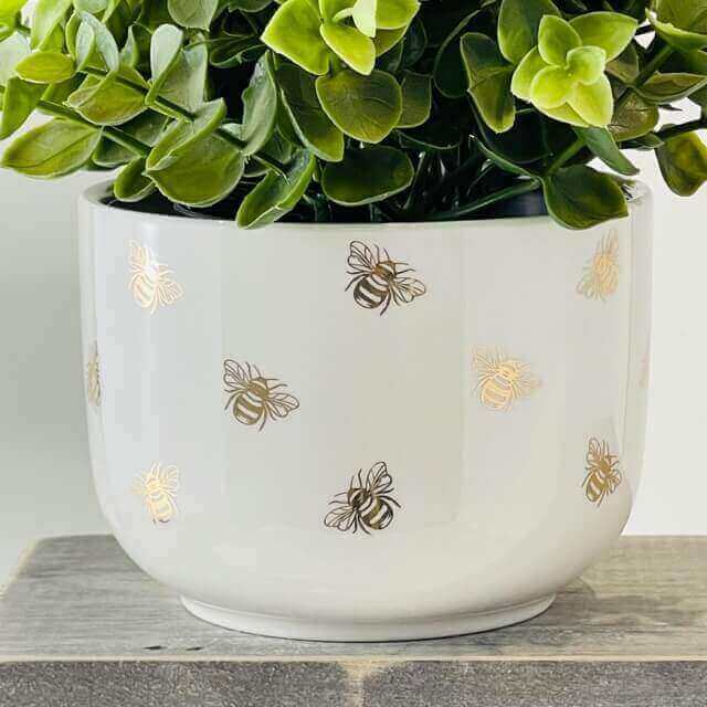 Plant Pot - Queen Bee - Starburst Interiors Limited