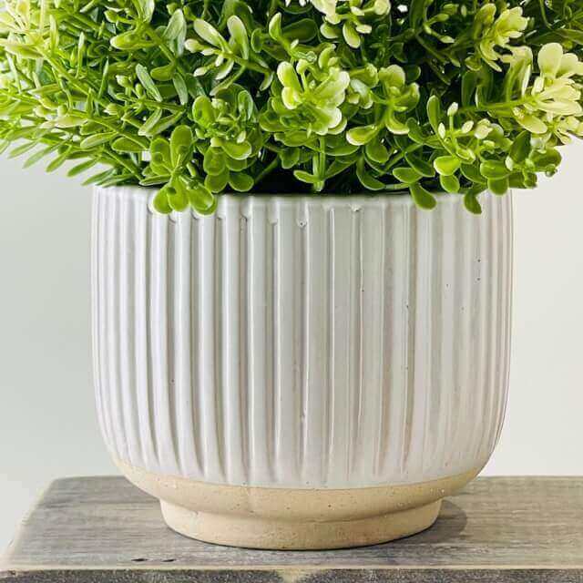 Plant Pot - White Grooved - Starburst Interiors Limited
